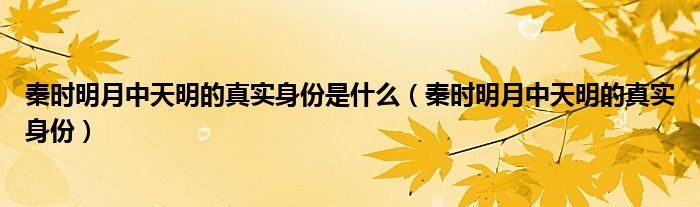 秦时明月中天明的真实身份(秦时明月中天明的真实身份是什么)