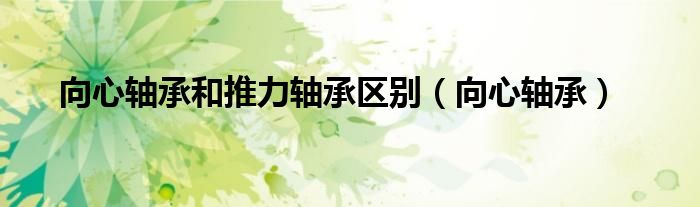 向心轴承(向心轴承和推力轴承区别)