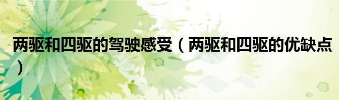 两驱和四驱的优缺点(两驱和四驱的驾驶感受)