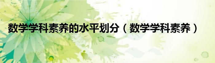 数学学科素养(数学学科素养的水平划分)