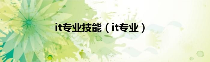 it专业(it专业技能)