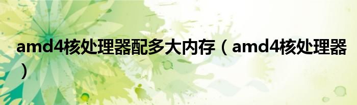 amd4核处理器(amd4核处理器配多大内存)