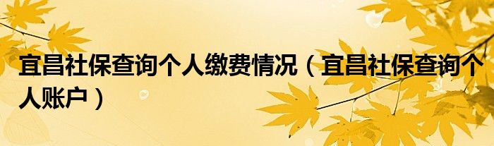 宜昌社保查询个人账户(宜昌社保查询个人缴费情况)