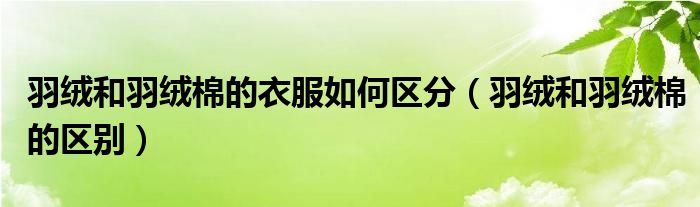 羽绒和羽绒棉的区别(羽绒和羽绒棉的衣服如何区分)