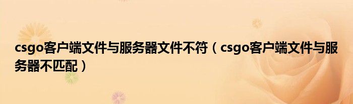 csgo客户端文件与服务器不匹配(csgo客户端文件与服务器文件不符)