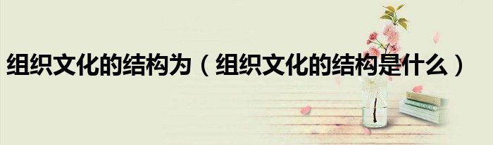 组织文化的结构是什么(组织文化的结构为)