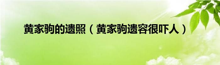 黄家驹遗容很吓人(黄家驹的遗照)