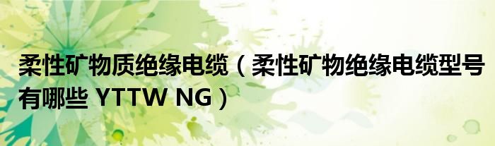 柔性矿物绝缘电缆型号有哪些 YTTW NG(柔性矿物质绝缘电缆)