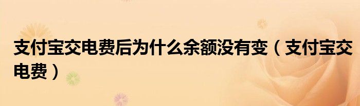 支付宝交电费(支付宝交电费后为什么余额没有变)