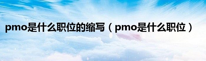 pmo是什么职位(pmo是什么职位的缩写)