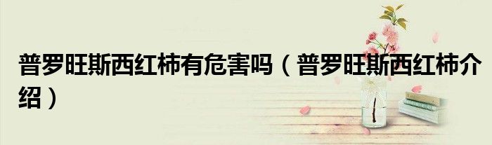 普罗旺斯西红柿介绍(普罗旺斯西红柿有危害吗)