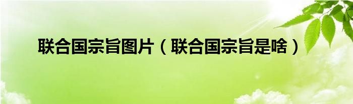 联合国宗旨是啥(联合国宗旨图片)