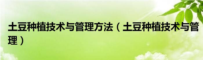 土豆种植技术与管理(土豆种植技术与管理方法)