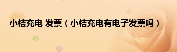 小桔充电有电子发票吗(小桔充电 发票)