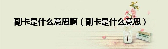 副卡是什么意思(副卡是什么意思啊)