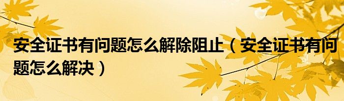 安全证书有问题怎么解决(安全证书有问题怎么解除阻止)