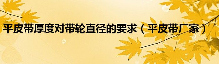 平皮带厂家(平皮带厚度对带轮直径的要求)