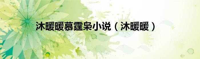沐暖暖(沐暖暖慕霆枭小说)