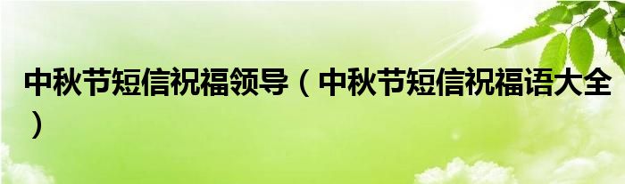 中秋节短信祝福语大全(中秋节短信祝福领导)