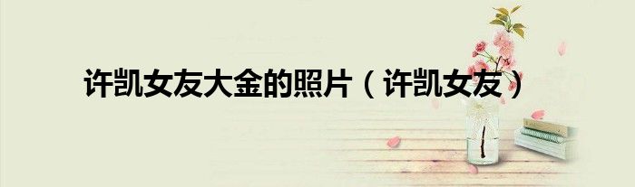 许凯女友(许凯女友大金的照片)