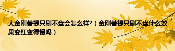 金刚菩提只刷不盘什么效果变红变得慢吗(大金刚菩提只刷不盘会怎么样?)