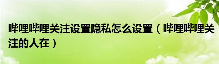 哔哩哔哩关注的人在(哔哩哔哩关注设置隐私怎么设置)