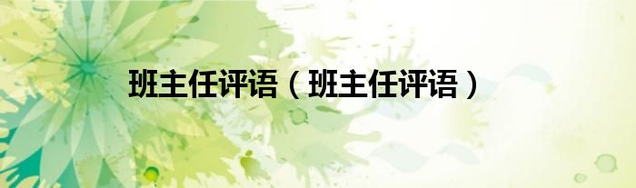 班主任评语(班主任评语)