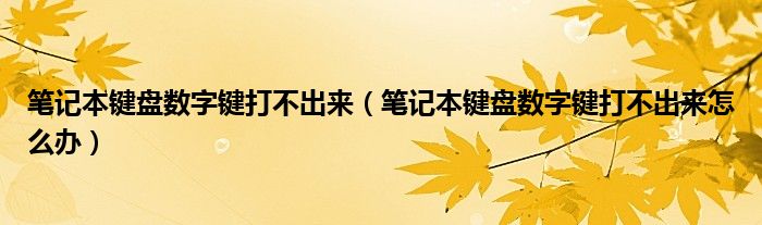 笔记本键盘数字键打不出来怎么办(笔记本键盘数字键打不出来)