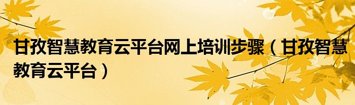 甘孜智慧教育云平台(甘孜智慧教育云平台网上培训步骤)