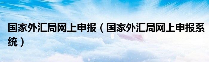 国家外汇局网上申报系统(国家外汇局网上申报)