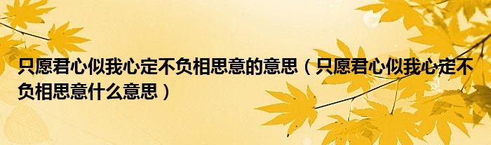 只愿君心似我心定不负相思意什么意思(只愿君心似我心定不负相思意的意思)