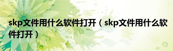 skp文件用什么软件打开(skp文件用什么软件打开)
