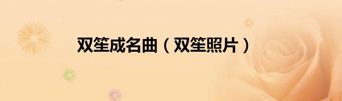 双笙照片(双笙成名曲)