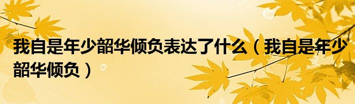 我自是年少韶华倾负(我自是年少韶华倾负表达了什么)