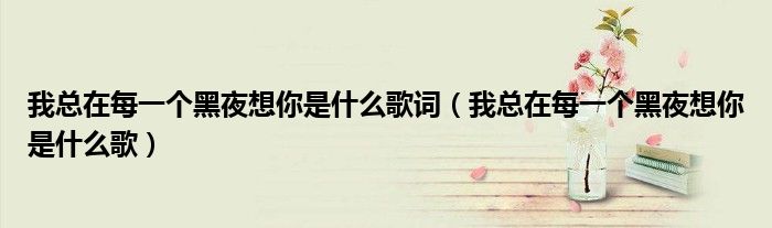 我总在每一个黑夜想你是什么歌(我总在每一个黑夜想你是什么歌词)