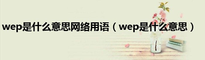 wep是什么意思(wep是什么意思网络用语)