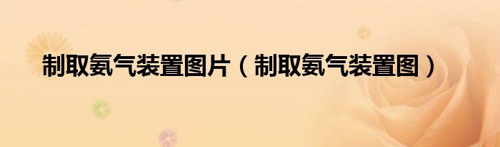 制取氨气装置图(制取氨气装置图片)