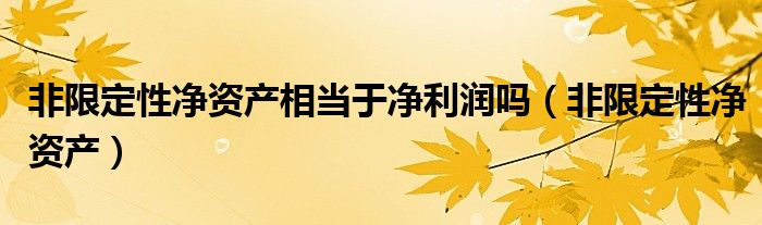 非限定性净资产(非限定性净资产相当于净利润吗)