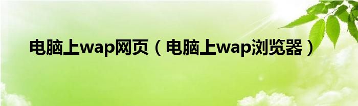 电脑上wap浏览器(电脑上wap网页)