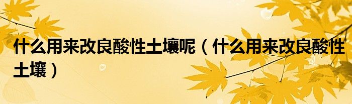 什么用来改良酸性土壤(什么用来改良酸性土壤呢)