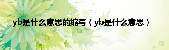 yb是什么意思(yb是什么意思的缩写)