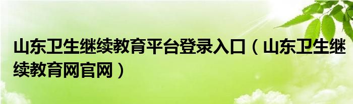 山东卫生继续教育网官网(山东卫生继续教育平台登录入口)