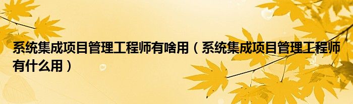 系统集成项目管理工程师有什么用(系统集成项目管理工程师有啥用)