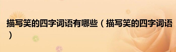 描写笑的四字词语(描写笑的四字词语有哪些)