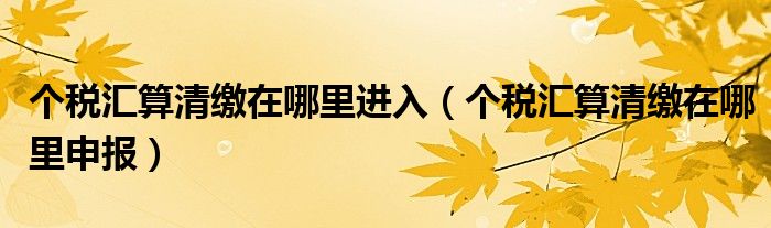 个税汇算清缴在哪里申报(个税汇算清缴在哪里进入)