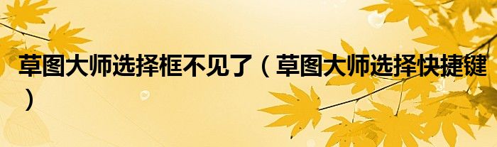 草图大师选择快捷键(草图大师选择框不见了)
