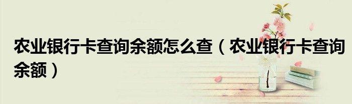 农业银行卡查询余额(农业银行卡查询余额怎么查)
