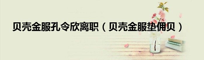 贝壳金服垫佣贝(贝壳金服孔令欣离职)