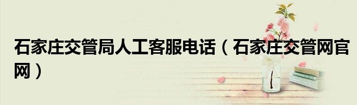 石家庄交管网官网(石家庄交管局人工客服电话)
