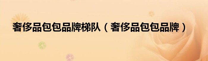 奢侈品包包品牌(奢侈品包包品牌梯队)